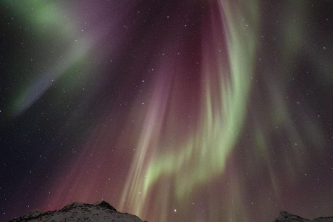 Tromsø: Tour dell&#039;aurora boreale con foto e trasferimento in hotel