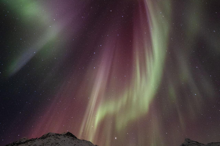 Tromsø: Tour dell&#039;aurora boreale con foto e trasferimento in hotel