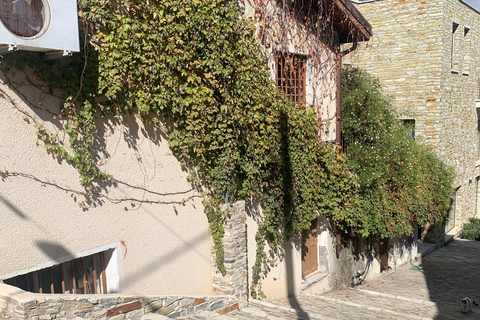 Larnaca hides Gem: Lefkara & Golden Donkey Farm Adventure