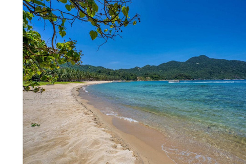 Quang Nam: Cu Lao Cham Island Tour with Lunch