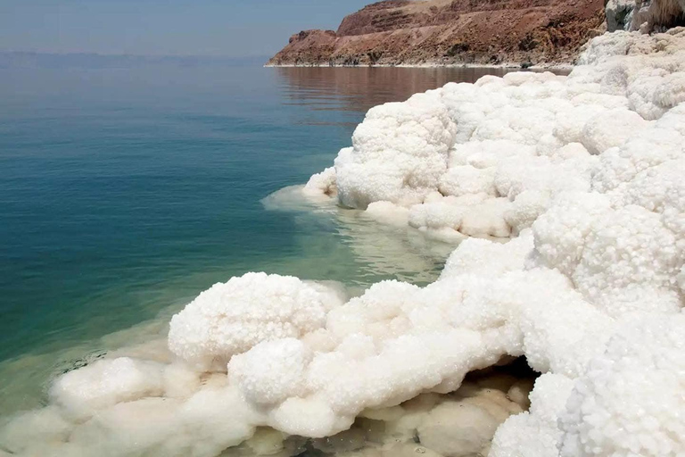 One Day Tour to the Dead Sea and Kerak Castle Transportation Only