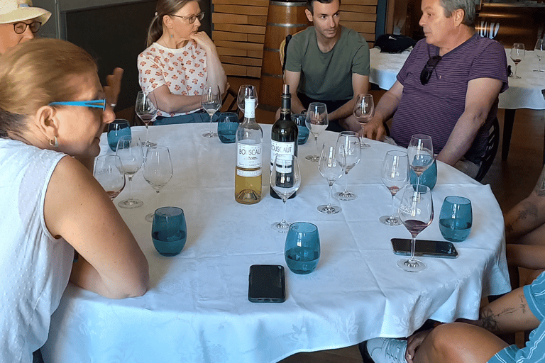 Au départ de Bordeaux : Excursion d'une demi-journée dans le vignoble des Graves avec vin