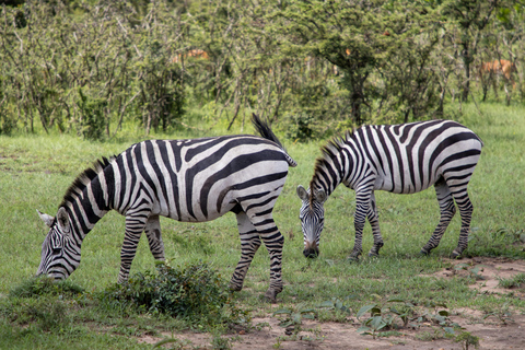 Mwea National Reserve Full-Day Safari from Nairobi