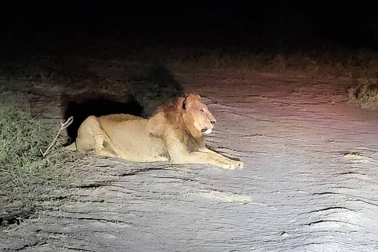 Nairobi National Park Night Safari with Armed Rangers
