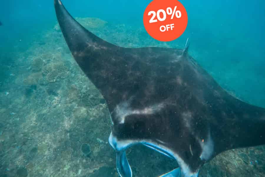 Nusa Penida: Schnorcheln an 3 Orten mit GoPro & West-Land-Tour. Foto: GetYourGuide Nusa Penida: Schnorcheln an 3 Orten mit GoPro & West-Land-Tour. Foto: GetYourGuide