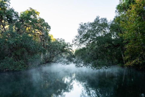 Orange stad: Blue Spring State Park St. Johns River Cruise1 timmes kryssning