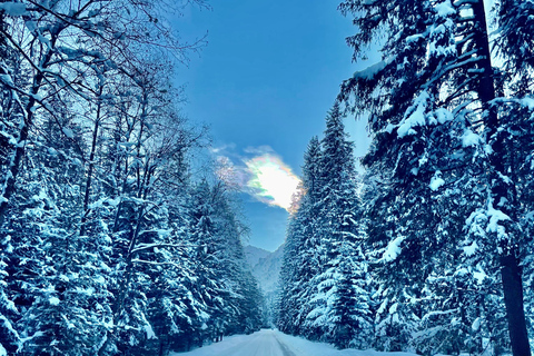 Transfert de l&#039;hôtel à Zakopane à Palenica (Morskie Oko)