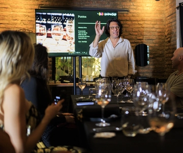 Santiago: Wine & Dine Experience