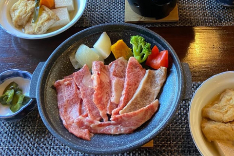 Nagoya: World Heritage Shirakawa-go Light-up Bus Tour Hida Pork Lunch (10:50AM Meet up)