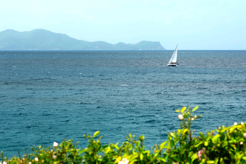 Excursion to Les Saintes : Full-Day Sailing and Snorkeling