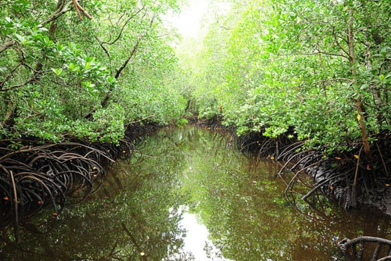 JOZANI FOREST NATIONAL PARK AND SPICE FARM