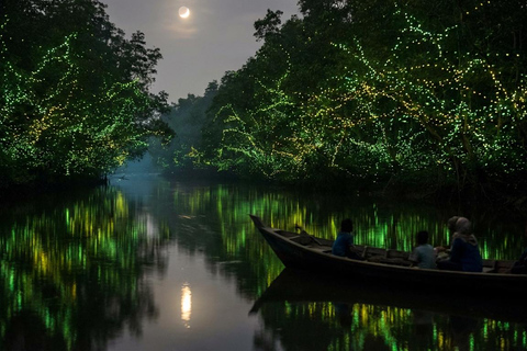 Kuala Selangor Eagle , Fireflies & Blue Tears Boat Tour