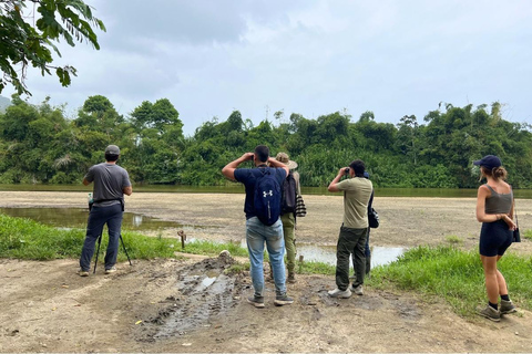 Palomino: Guided Birdwatching Tour with Hotel Pickup