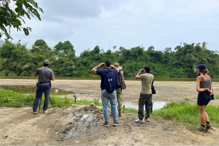 Palomino: Guided Birdwatching Tour with Hotel Pickup