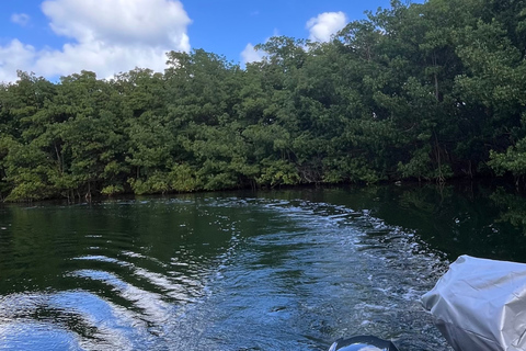 Explore the mangrove and Pointe Sable in Guadeloupe