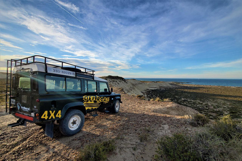 PUERTO MADRYN: PRZEŻYJ PRZYGODĘ 4 X 4 NA NAJPIĘKNIEJSZYCH PLAŻACH!