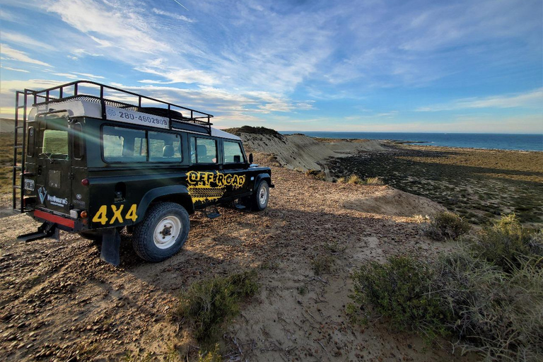 PUERTO MADRYN: PRZEŻYJ PRZYGODĘ 4 X 4 NA NAJPIĘKNIEJSZYCH PLAŻACH!