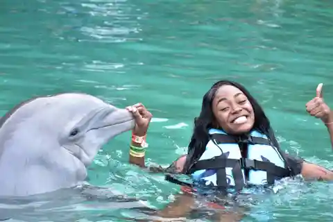 Montego Bay: Viagem de um dia à Dolphin Cove Ocho Rios com transferes