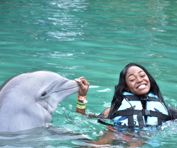 Montego Bay: Dolfijn Cove Ocho Rios Dagtocht met Transfers