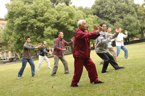 Chengdu: Tai Chi & Kung Fu Class with a Master
