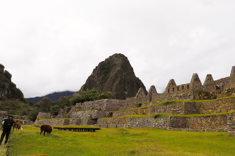 Machu Picchu: Classic Route Ticket (Circuit 2) 1D – Inca Bridge Route