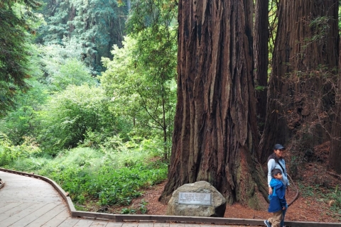 Vanuit San Francisco: groepsreis Muir Woods en Sausalito
