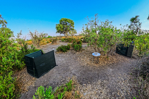 Moremi Game Reserve Mobile Safari