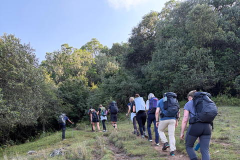 From Arusha: Mount Meru 4-Day Trek