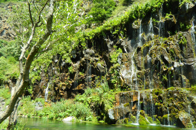 Wild Georgia: Dashbashi Canyon & Diamond Bridge Discovery