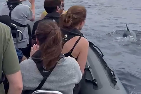 Boat Trip to Corvo and Island Sightseeing Tour