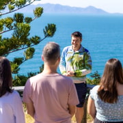 Magnetic Island: History, Beaches & Wildlife Tour