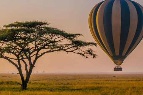Arusha: Safári de Balão e Safári em Veículo em Tarangire - Viagem de 1 DiaArusha: Safári de balão em Tarangire e viagem de 1 dia