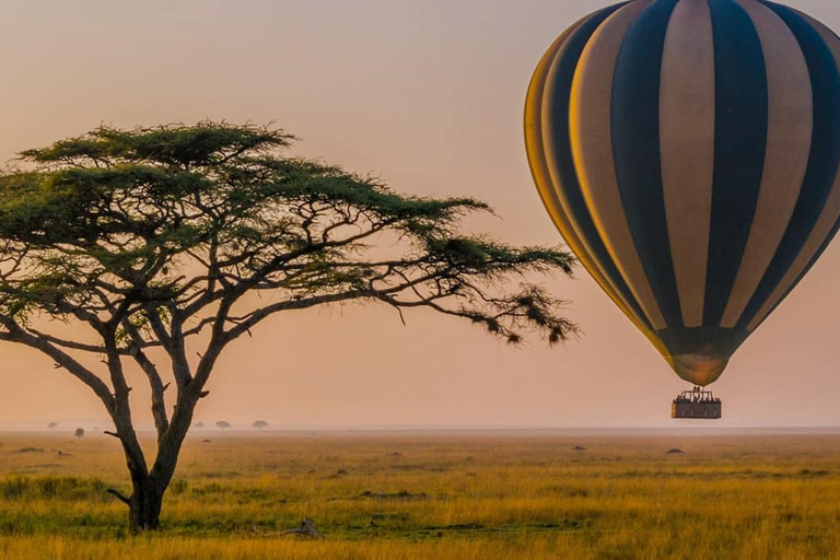 Arusha: Safári de Balão e Safári em Veículo em Tarangire - Viagem de 1 DiaArusha: Safári de balão em Tarangire e viagem de 1 dia