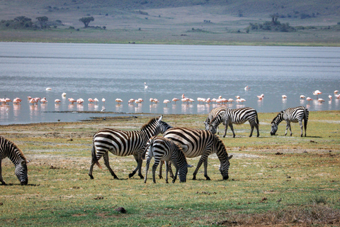 Arusha: 2-Day Tarangire & Lake Manyara Tanzania Safari Arusha: Private Day Trip to Tarangire National Park