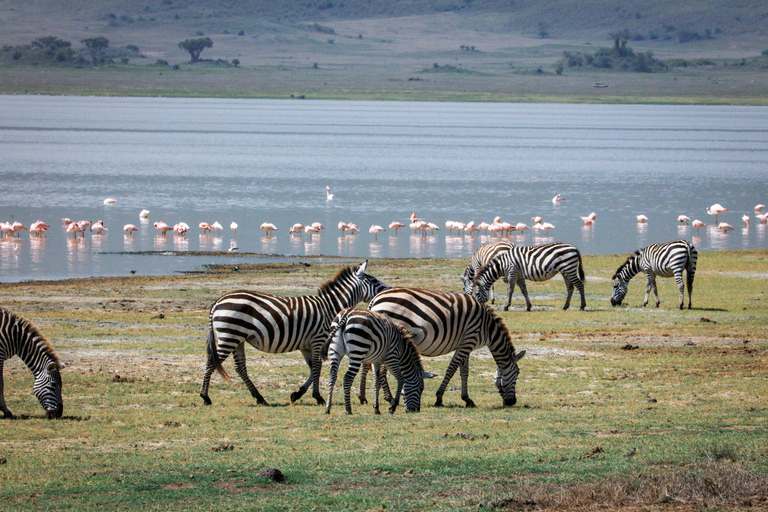 Arusha: 2-Day Tarangire & Lake Manyara Tanzania Safari Arusha: Private Day Trip to Tarangire National Park