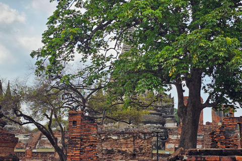 Ayutthaya: Woks and Wats Food Tour with 14+ Tastings