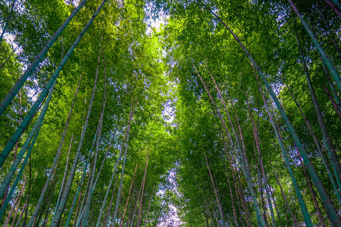 Kyoto: Private Luxury Tour With Vehicle (Customizable)