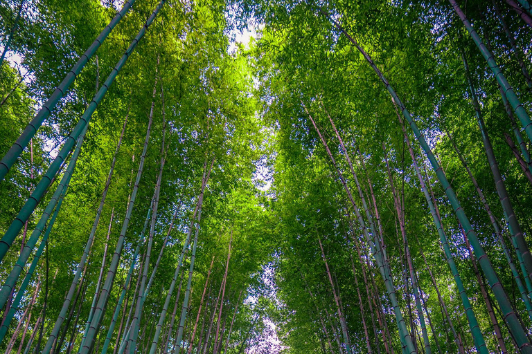Kyoto: Private Luxury Tour With Vehicle (Customizable)