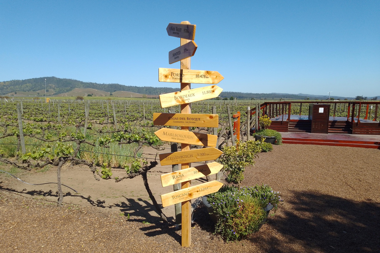 Wineries Tour in Casablanca Valley from Valparaiso Shared tour