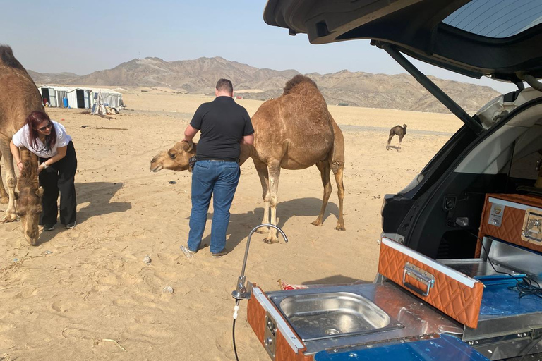 Jeddah or Mecca: Desert cooking class with a local dinner