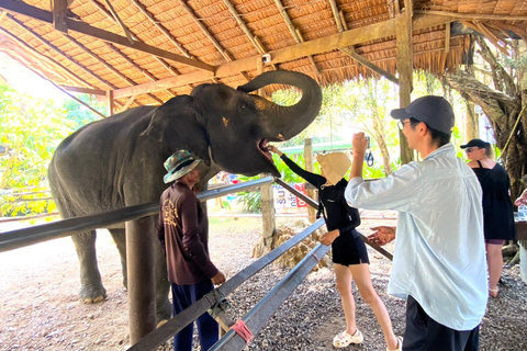 Khao Lak: Khao Sok Elephant Sanctuary and Night Jungle Walk Khao Sok Elephant Sanctuary and Night Jungle Walk