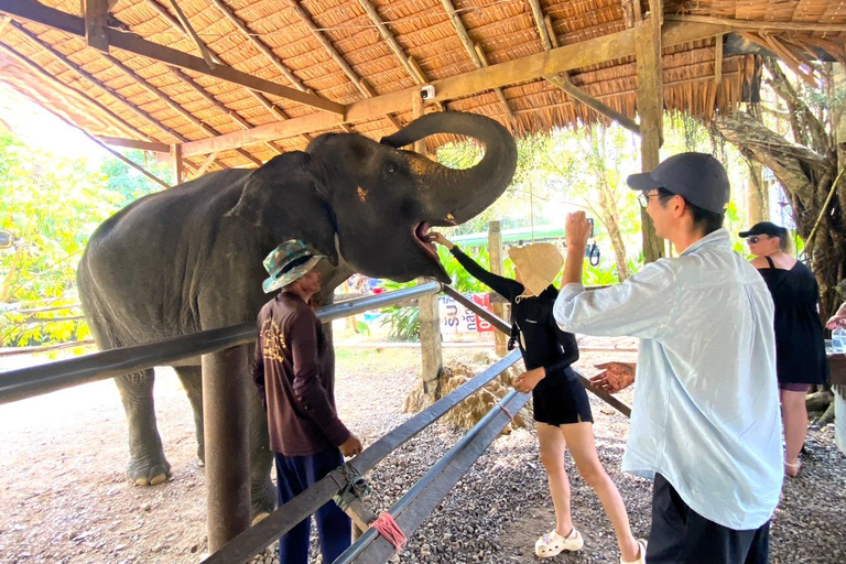 Khao Lak: Khao Sok Elephant Sanctuary and Night Jungle Walk Khao Sok Elephant Sanctuary and Night Jungle Walk