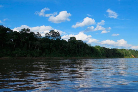 Puerto Maldonado: Excursie 4-daags Nationaal Reservaat Tambopata