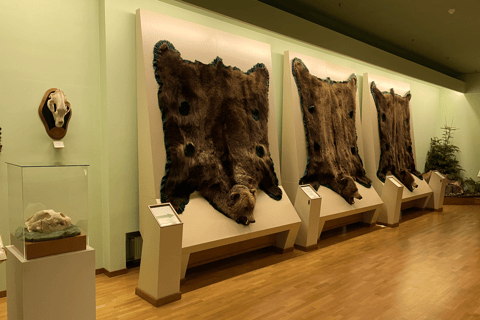 From Bucharest: Hunting Museum Posada with Tickets Included