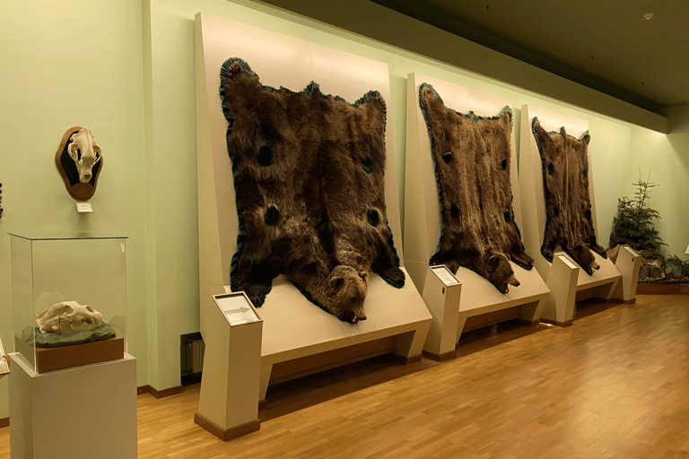 From Bucharest: Hunting Museum Posada with Tickets Included