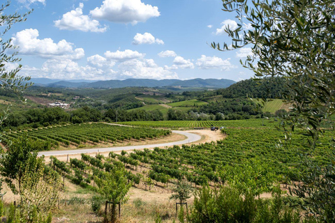 Florence: Chianti E-Bike Tour met Wijnproeverij en Lunch