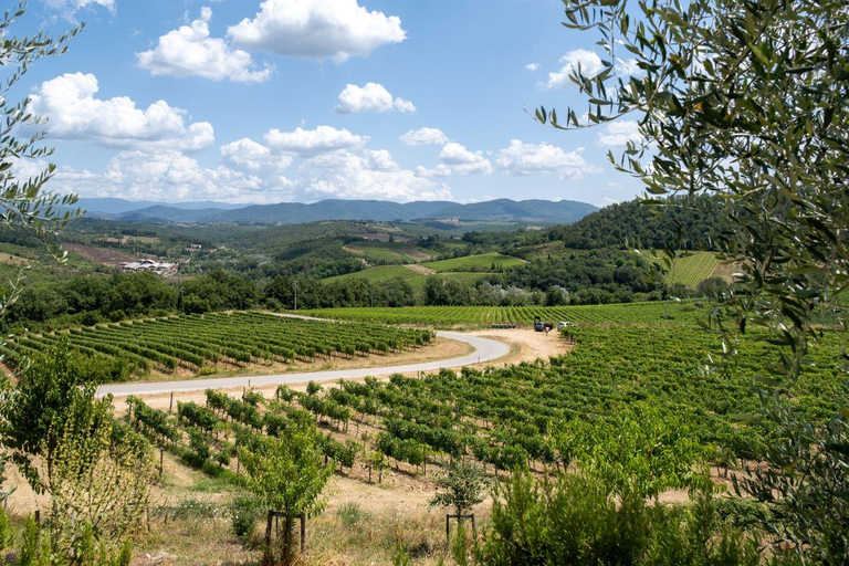 Florence: Chianti E-Bike Tour met Wijnproeverij en Lunch