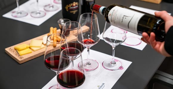Verona: Winery Visit & Wine Tasting near the City Center
