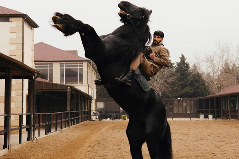 巴库骑马体验：邂逅世界名驹标准套餐