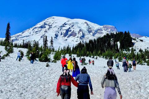 From Seattle: Customized Mount Rainier Tour